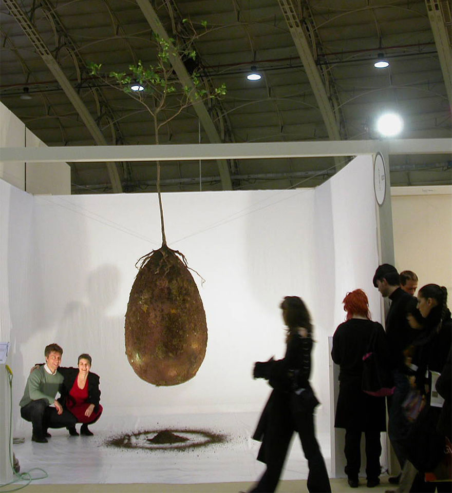 Forget Coffins - Organic Burial Pods Will Turn Your Loved Ones Into Trees