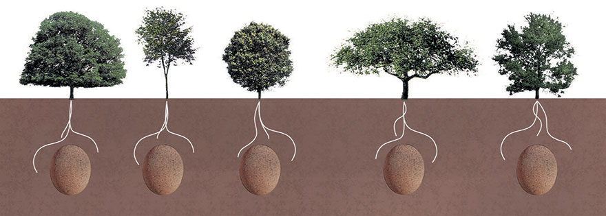 Forget Coffins - Organic Burial Pods Will Turn Your Loved Ones Into Trees