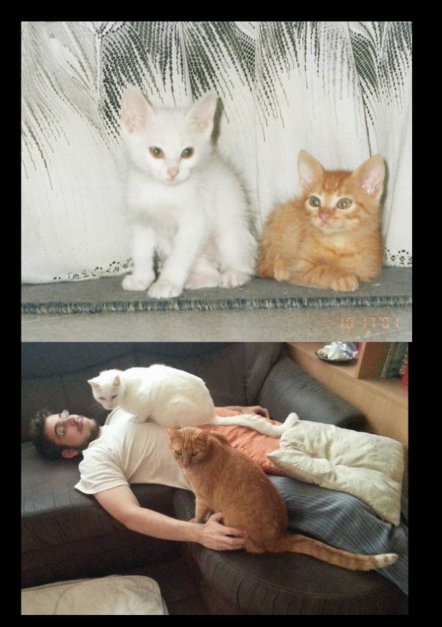 Bruce And Willis 2001 - 2015 Now Both Pictures :)