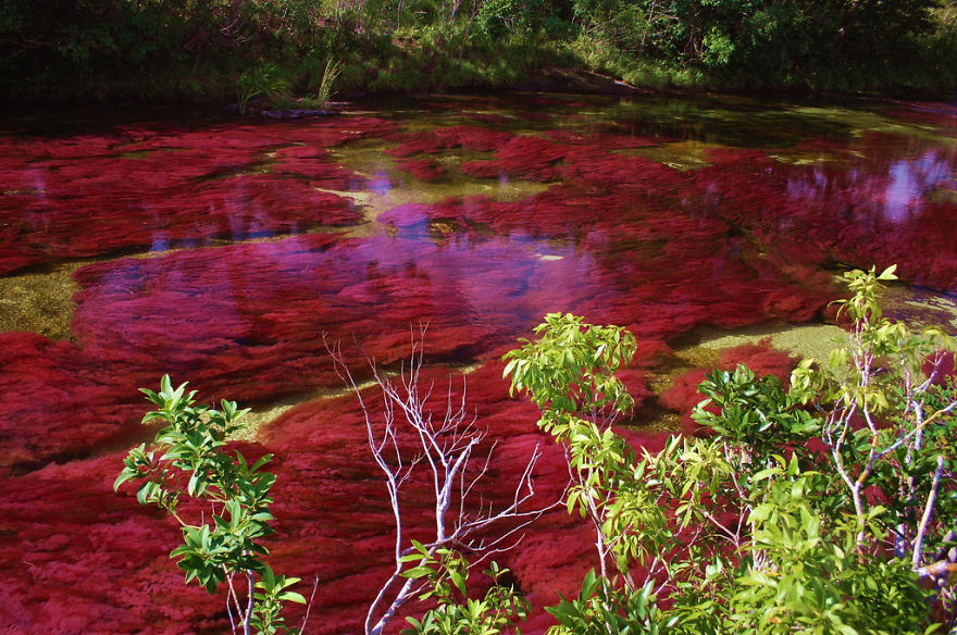 Ca&ntilde;o Cristales River