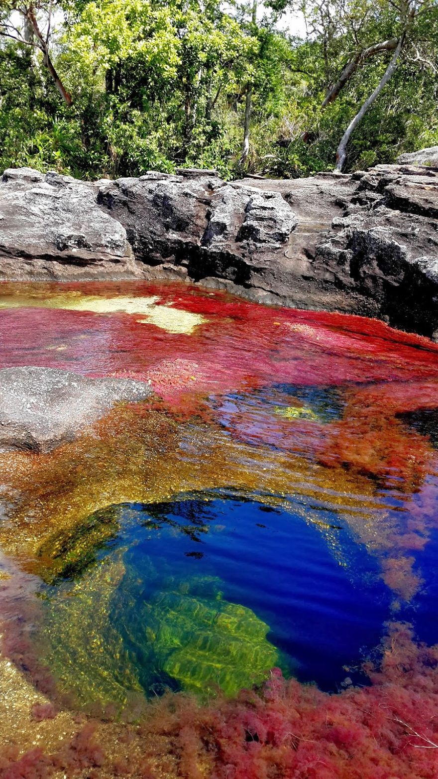 Ca&ntilde;o Cristales River
