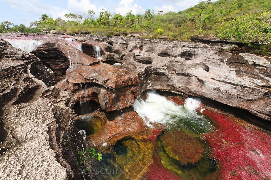 Ca&ntilde;o Cristales River