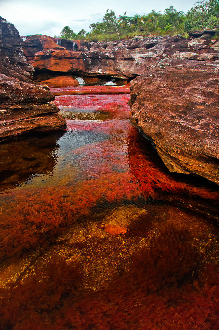 Ca&ntilde;o Cristales River