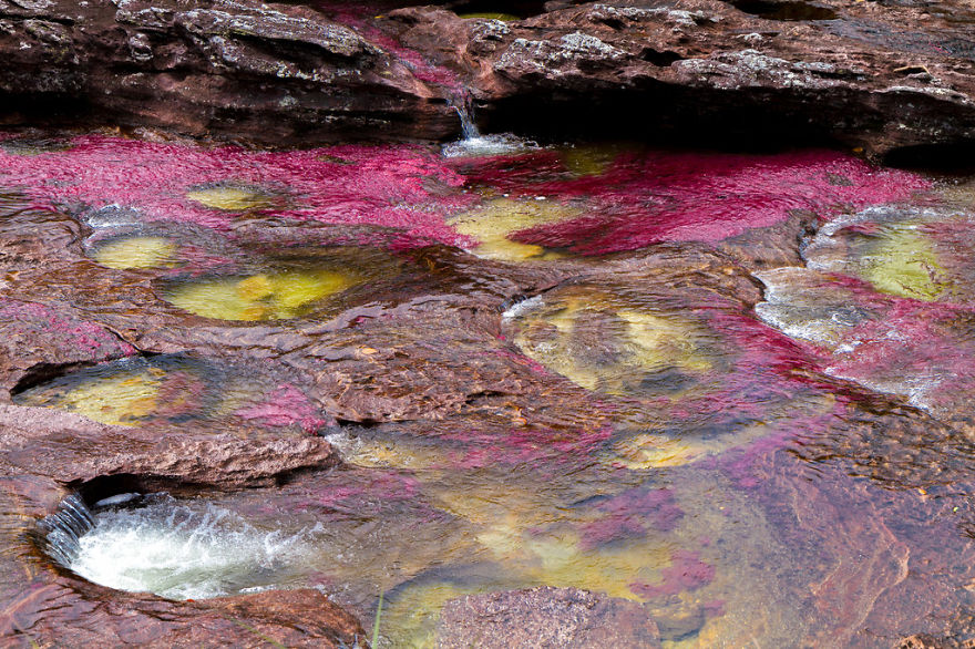 Ca&ntilde;o Cristales River