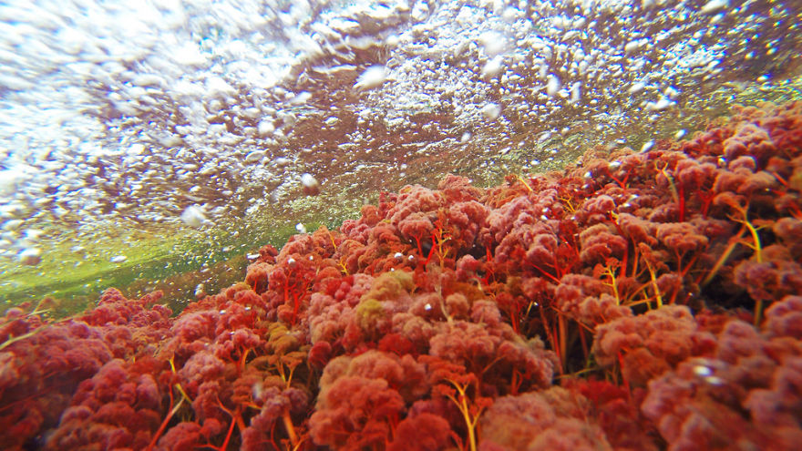Ca&ntilde;o Cristales River