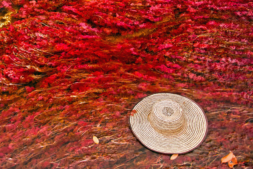 Ca&ntilde;o Cristales River