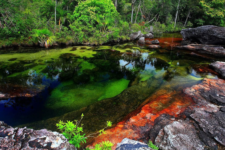 Ca&ntilde;o Cristales River
