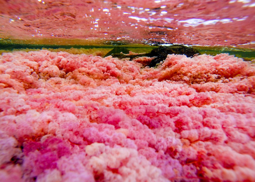 Ca&ntilde;o Cristales River