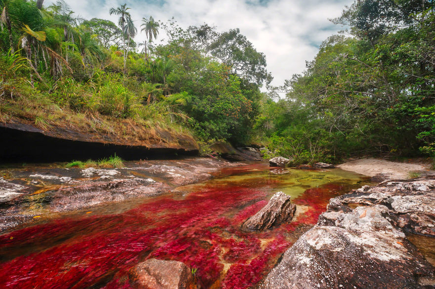Ca&ntilde;o Cristales River