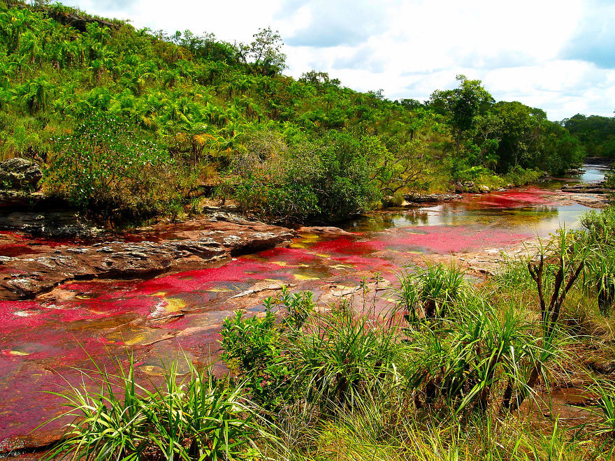 Ca&ntilde;o Cristales River