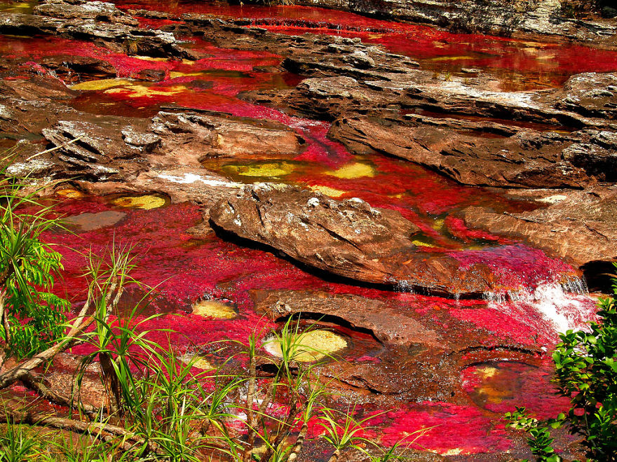 Ca&ntilde;o Cristales River