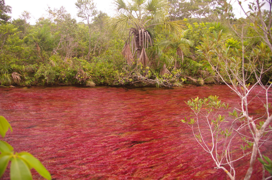 Ca&ntilde;o Cristales River