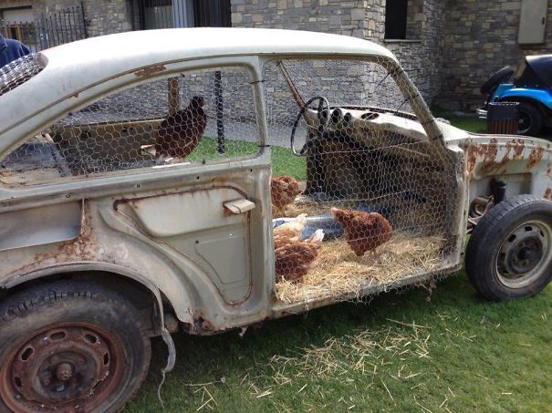 Car Turned Into A Chicken Coop
