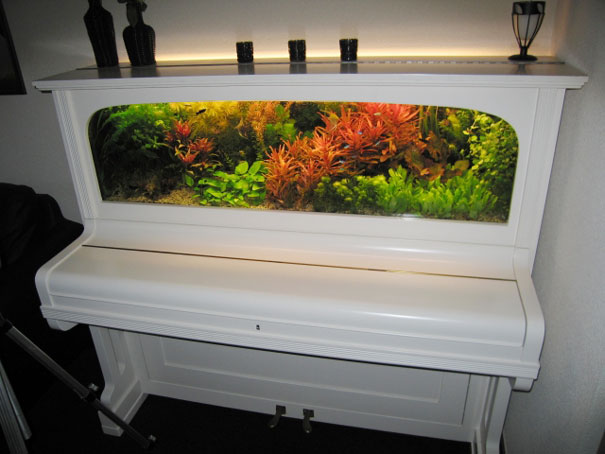 Piano Turned Into An Aquarium