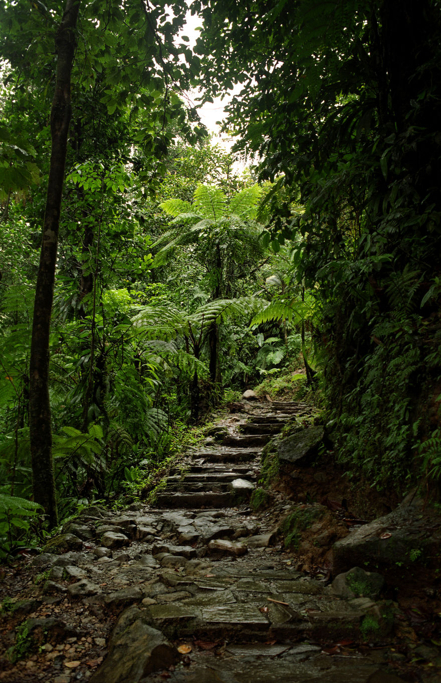 Dominica, Pont Casse Waitukubuli National Trail