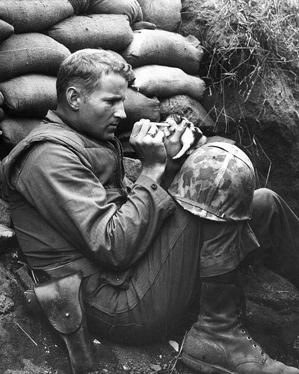 Soldier Rescuing A Kitten In Korea