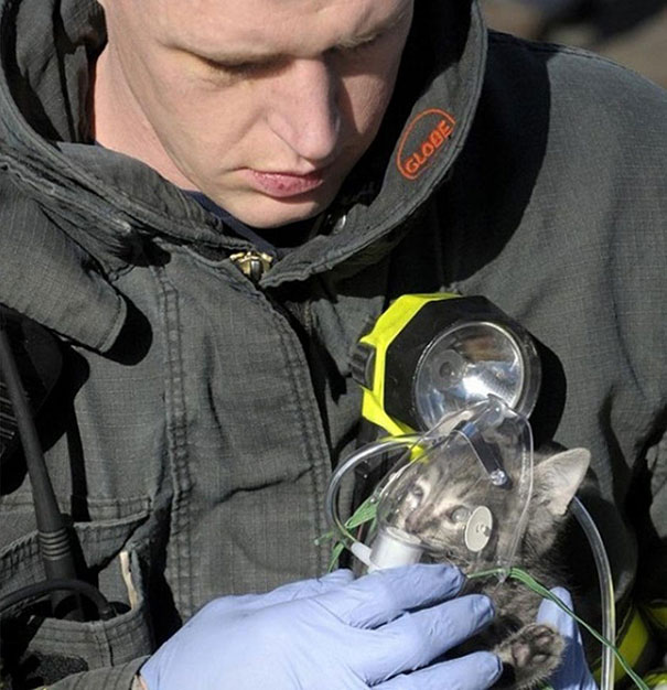 Firefighter Administers Oxygen To Cat Rescued From House Fire