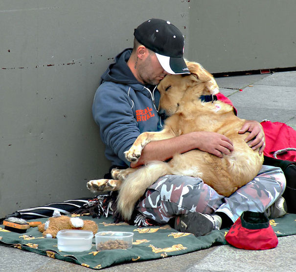 Dogs Will Love No Matter What