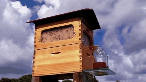 Automatic Harvest Honey Beekeeping Wooden Bee House Box Bee Hives US 