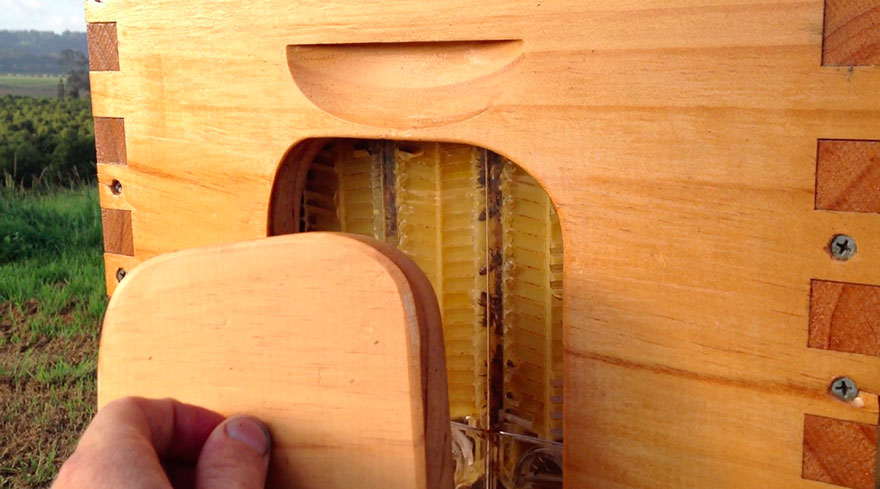 New Beehive Lets You Harvest Honey Automatically Without Disturbing Bees
