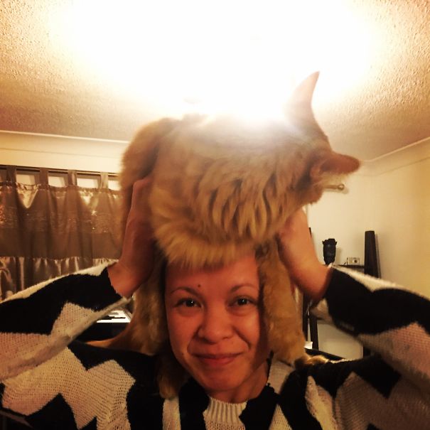 My Cat Hat