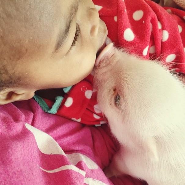 little-girl-piglet-friendship-libby-and-pearl-22
