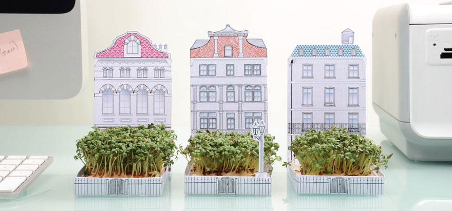 Matchbox Garden