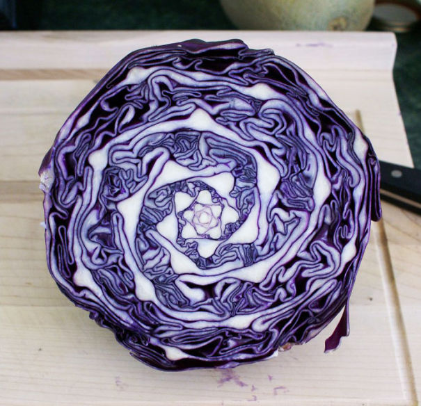 Amazing Natural Geometry In Cabbage