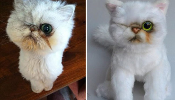 This Company Makes Exact Plush Toy Copies Of Your Pets