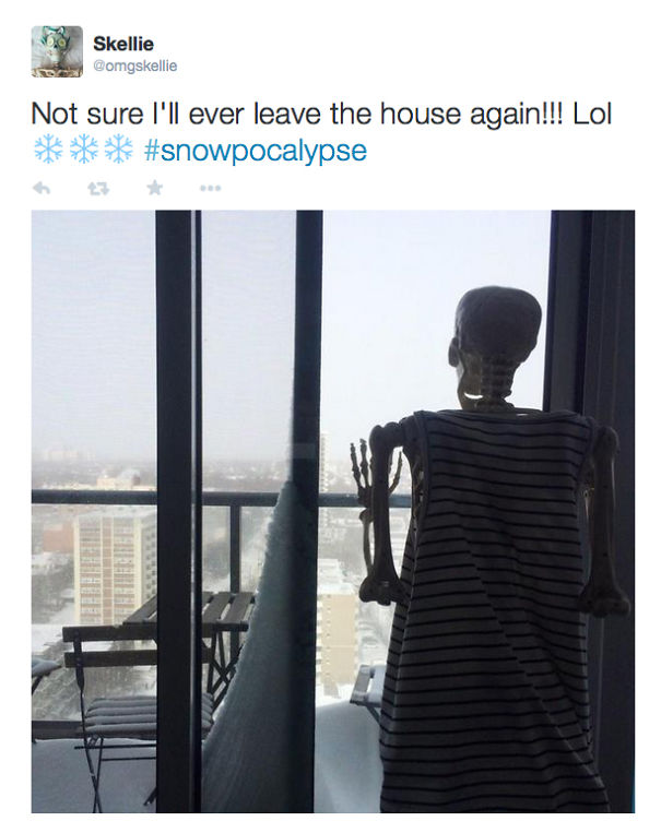 Instagramming Skeleton Gets A Twitter Account