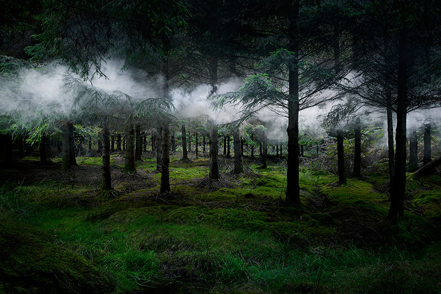 Artist Has Spent 7 Years Turning UK Forests Into Works Of Art