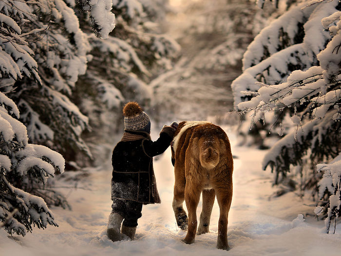 Winter Walk With Big Friend
