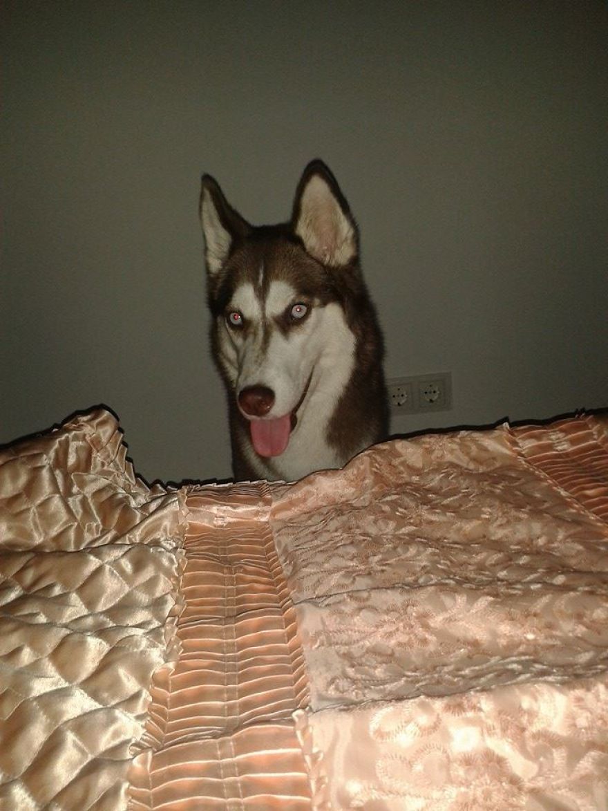 Nova Growing Up