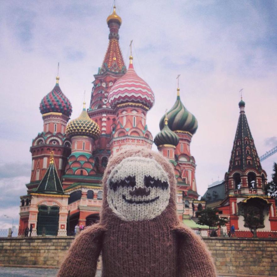 Meet Super Sloth: The Worlds Most Famous Woolen Adventurer