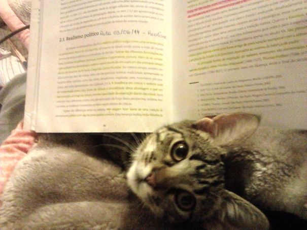 Stop Studying And Give Me Love!