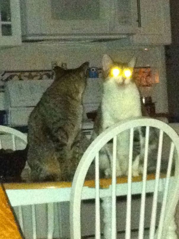 So, You Think The Laser Pointer Was Just Fun And Games, Do You?