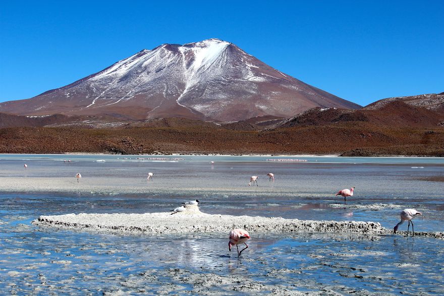 Postcards From The Bolivian Salt Flats Tour