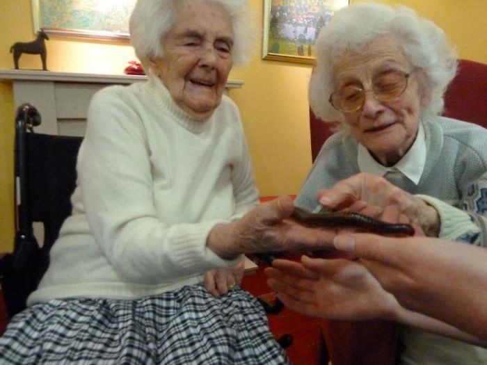 We Bring Giant Snails, Lizards, And Owls To Retirement Homes To Brighten Seniors' Lives