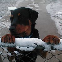 michele_gault avatar