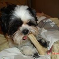 nadine_h_sakr avatar