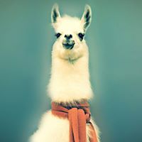 narunat_ketumpai avatar