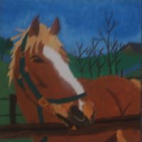 marta_kociolek avatar