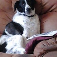 margie_m_brooks avatar