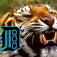 mary_rickrode_7 avatar