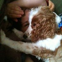 sandy_laminski avatar