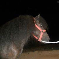 rachel_mustow avatar