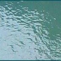 seriously_sidereal avatar