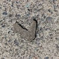 lisa_martinez_10420 avatar