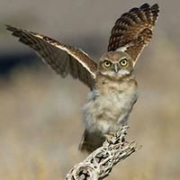 M_M_Kirchesch avatar