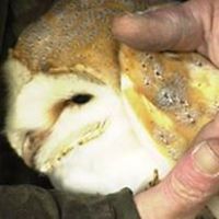 vince_jones_9256 avatar